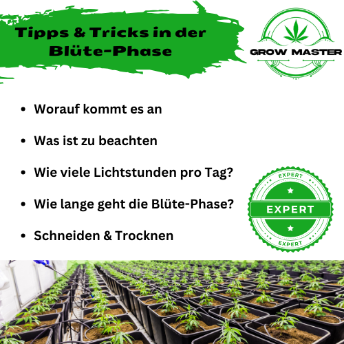 Tipps & Trick zum Anbauen – Produktansicht 5