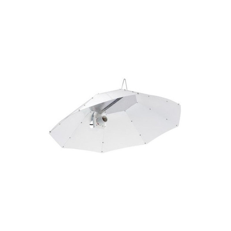 Whitekornet Parabolreflektor 100 mm mit 3 m IEC-Kabel
