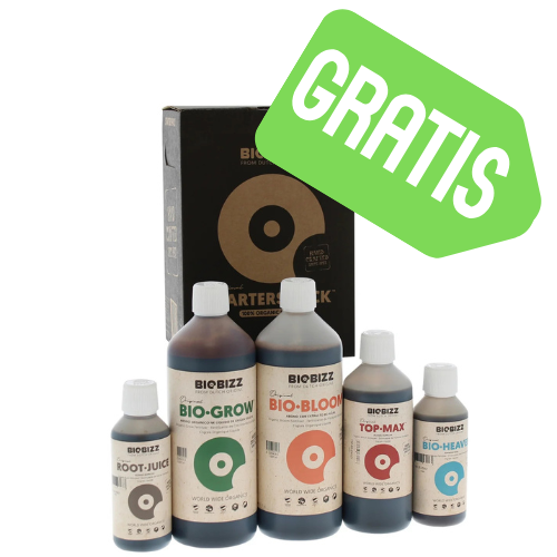 XXL Growbox LED Komplettset