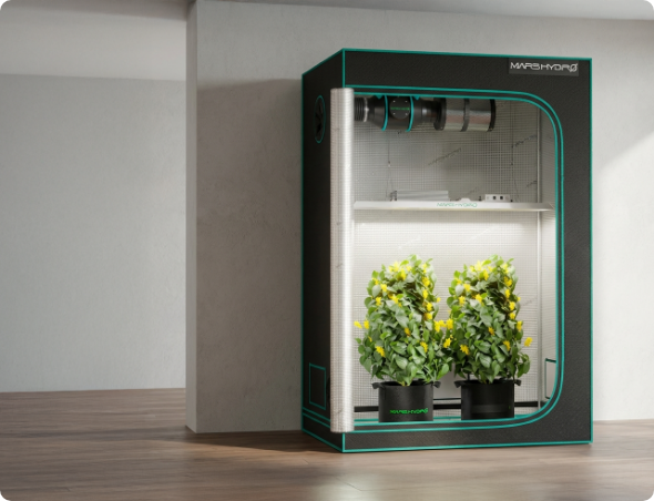 Growbox Komplettsets